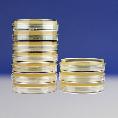 酵母浸出粉胨葡萄糖琼脂平板（HBPM5193）